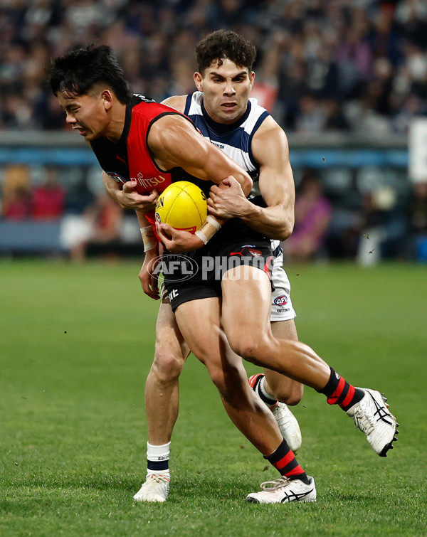 AFL 2025 Round 22 - Geelong v Essendon - A-61185190