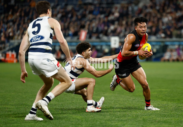AFL 2025 Round 22 - Geelong v Essendon - A-61185191