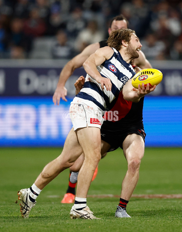 AFL 2025 Round 22 - Geelong v Essendon - A-61186608