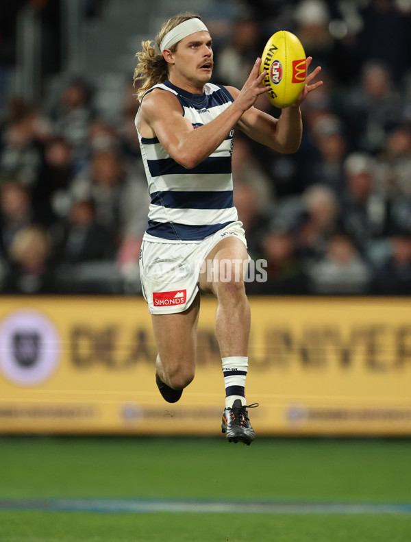 AFL 2025 Round 22 - Geelong v Essendon - A-61186614