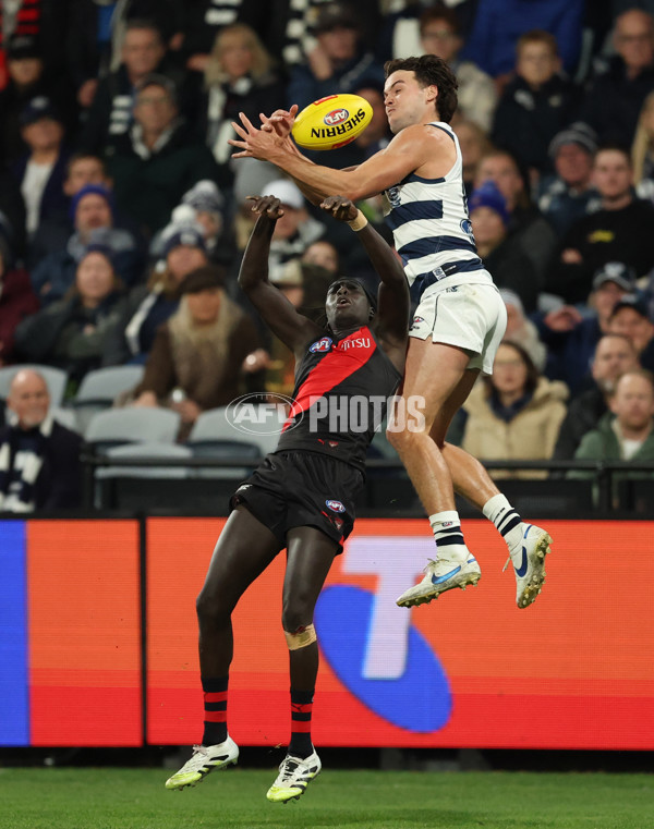 AFL 2025 Round 22 - Geelong v Essendon - A-61186631