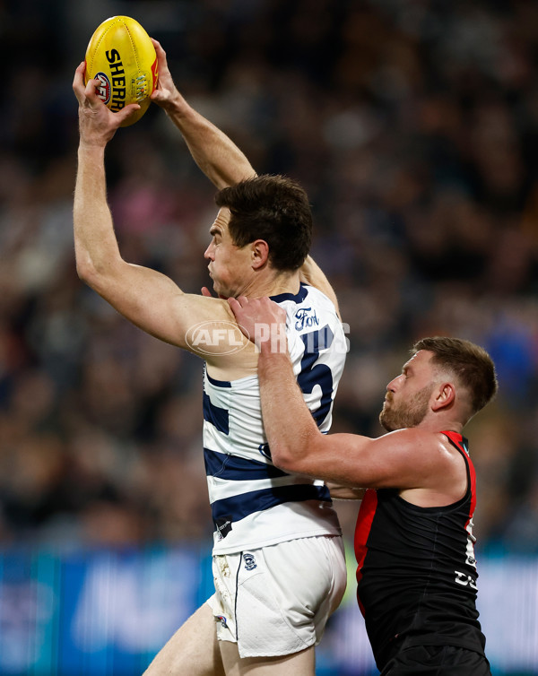 AFL 2025 Round 22 - Geelong v Essendon - A-61186644