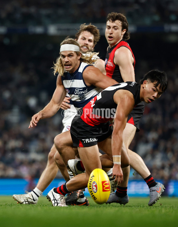 AFL 2025 Round 22 - Geelong v Essendon - A-61186655