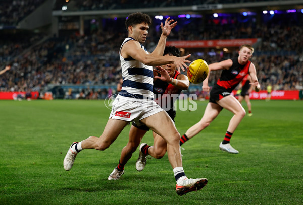 AFL 2025 Round 22 - Geelong v Essendon - A-61186661