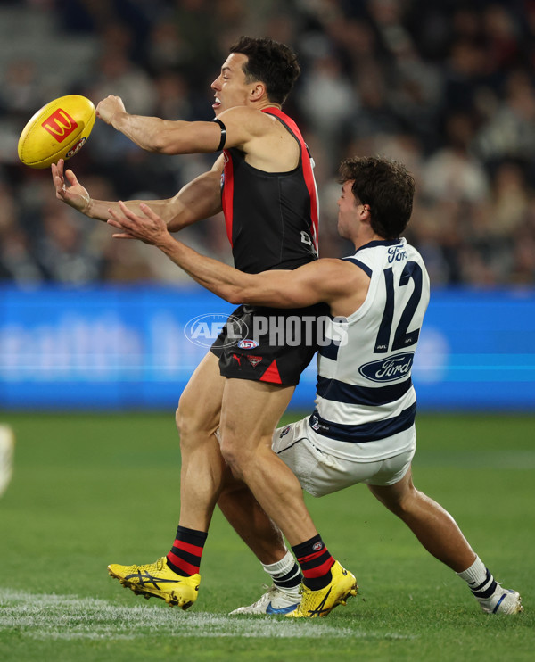 AFL 2025 Round 22 - Geelong v Essendon - A-61186668