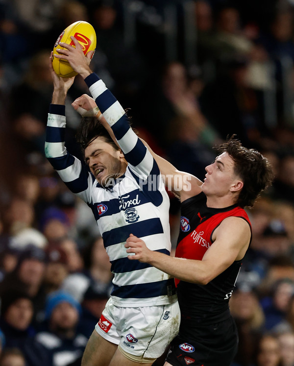AFL 2025 Round 22 - Geelong v Essendon - A-61186687