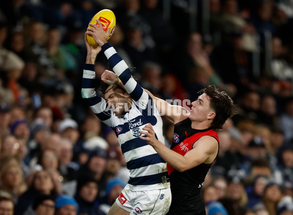 AFL 2025 Round 22 - Geelong v Essendon - A-61186691