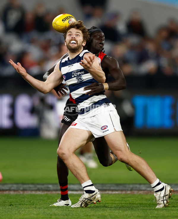 AFL 2025 Round 22 - Geelong v Essendon - A-61186693