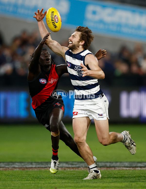 AFL 2025 Round 22 - Geelong v Essendon - A-61186694