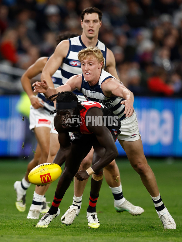 AFL 2025 Round 22 - Geelong v Essendon - A-61186700