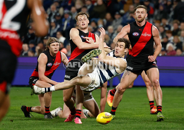 AFL 2025 Round 22 - Geelong v Essendon - A-61187925