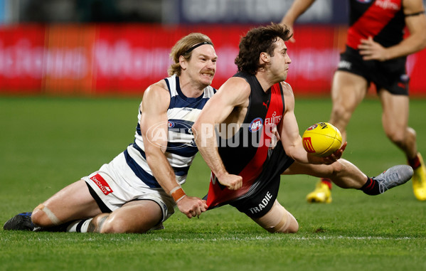 AFL 2025 Round 22 - Geelong v Essendon - A-61187953