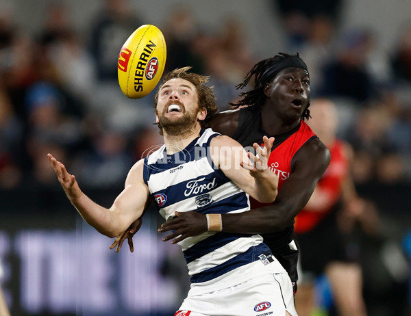 AFL 2025 Round 22 - Geelong v Essendon - A-61187958