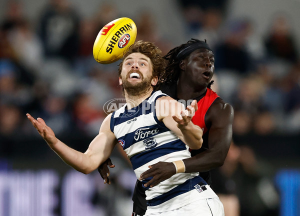 AFL 2025 Round 22 - Geelong v Essendon - A-61187959