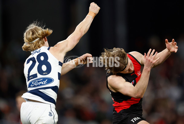 AFL 2025 Round 22 - Geelong v Essendon - A-61188009