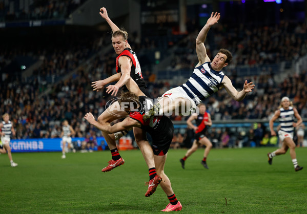AFL 2025 Round 22 - Geelong v Essendon - A-61189272