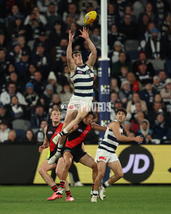 AFL 2025 Round 22 - Geelong v Essendon - A-61189280