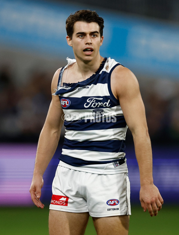 AFL 2025 Round 22 - Geelong v Essendon - A-61189330