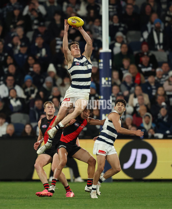 AFL 2025 Round 22 - Geelong v Essendon - A-61190349