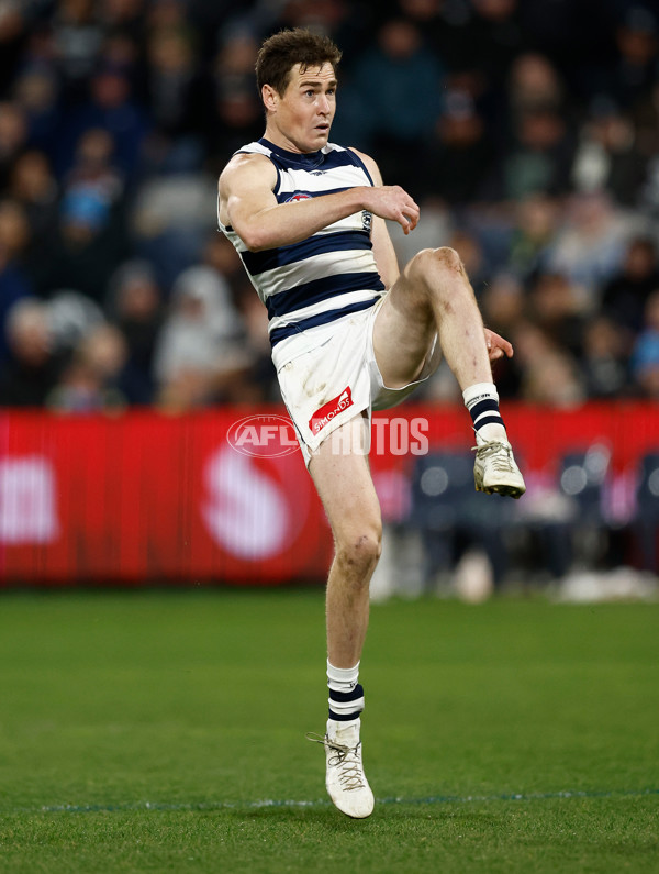 AFL 2025 Round 22 - Geelong v Essendon - A-61190374