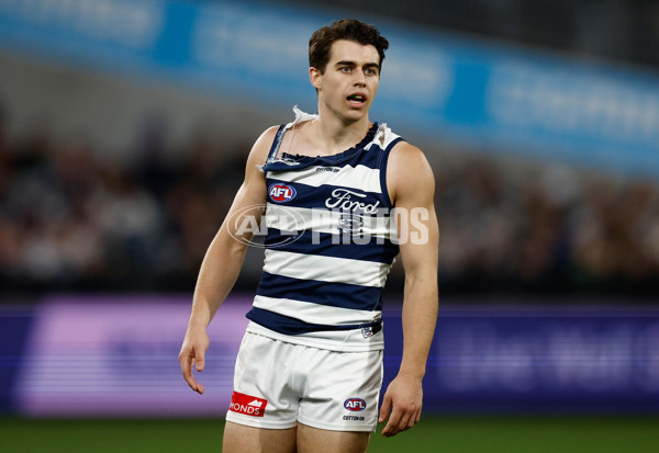 AFL 2025 Round 22 - Geelong v Essendon - A-61190406