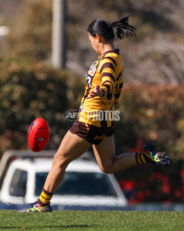 VFLW 2025 Elimination Final 1 - Box Hill v Essendon - A-61191924