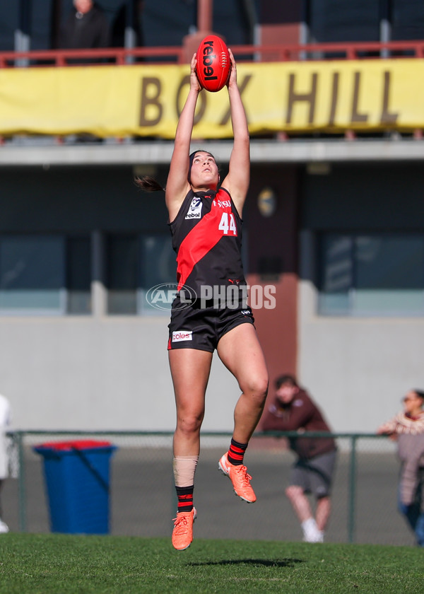 VFLW 2025 Elimination Final 1 - Box Hill v Essendon - A-61192685