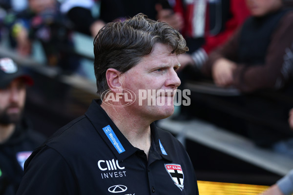 AFL 2025 Round 22 - Richmond v St Kilda - A-61192740