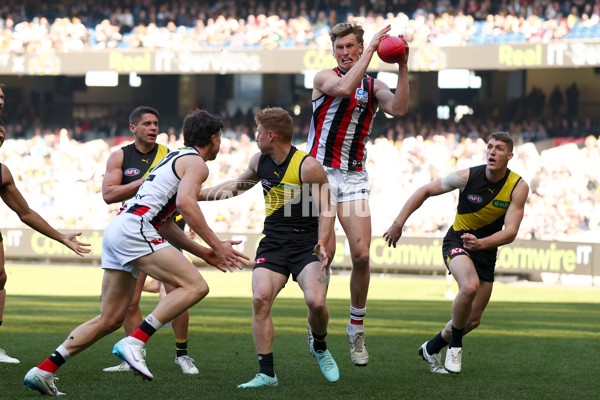 AFL 2025 Round 22 - Richmond v St Kilda - A-61192762