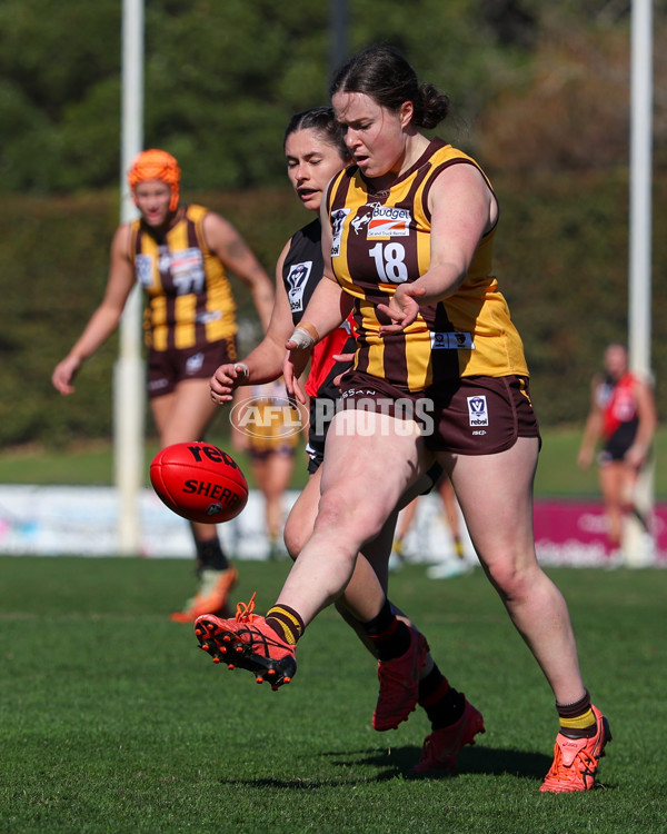 VFLW 2025 Elimination Final 1 - Box Hill v Essendon - A-61194396