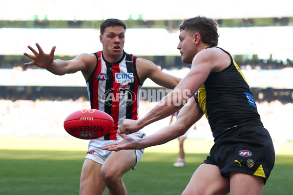 AFL 2025 Round 22 - Richmond v St Kilda - A-61195745