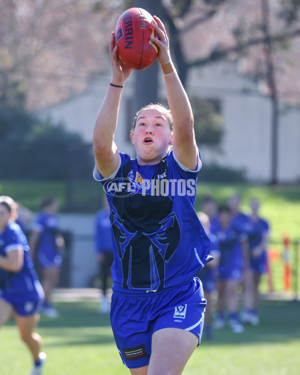 VFLW 2025 Qualifying Final - North Melbourne Werribee v Collingwood - A-61195759