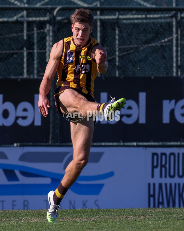 VFL 2025 Round 20 - Box Hill v Footscray - A-61196737