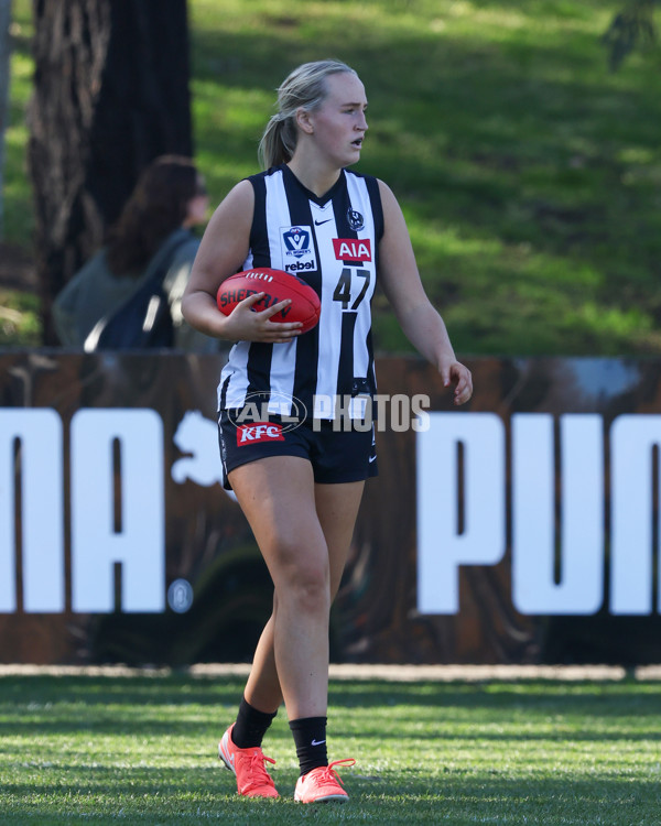 VFLW 2025 Qualifying Final - North Melbourne Werribee v Collingwood - A-61196767