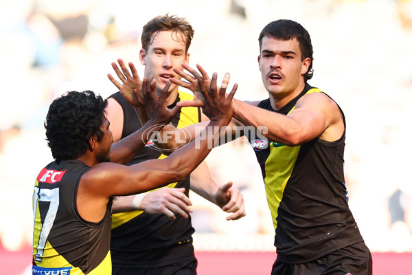 AFL 2025 Round 22 - Richmond v St Kilda - A-61196772