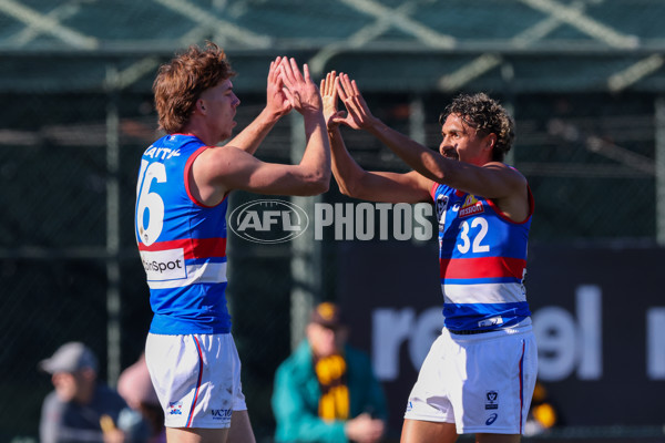VFL 2025 Round 20 - Box Hill v Footscray - A-61198463
