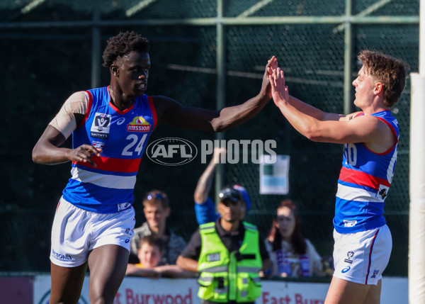 VFL 2025 Round 20 - Box Hill v Footscray - A-61199550
