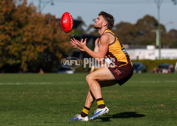 VFL 2025 Round 20 - Box Hill v Footscray - A-61199551
