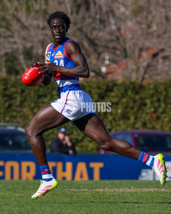 VFL 2025 Round 20 - Box Hill v Footscray - A-61199552