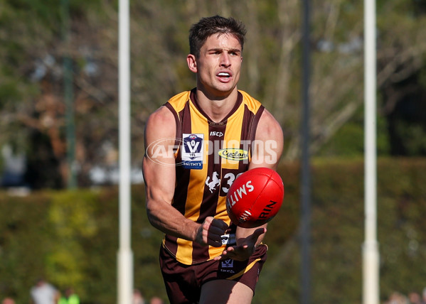 VFL 2025 Round 20 - Box Hill v Footscray - A-61201255