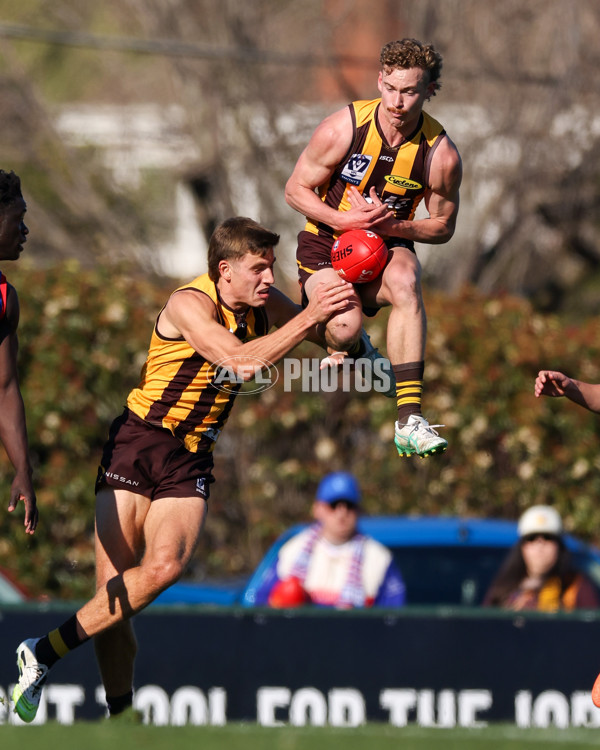 VFL 2025 Round 20 - Box Hill v Footscray - A-61201270