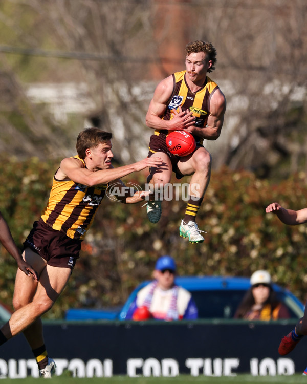 VFL 2025 Round 20 - Box Hill v Footscray - A-61201271