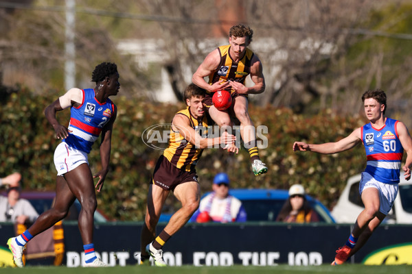 VFL 2025 Round 20 - Box Hill v Footscray - A-61201272