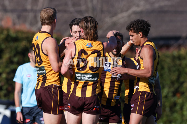 VFL 2025 Round 20 - Box Hill v Footscray - A-61201282