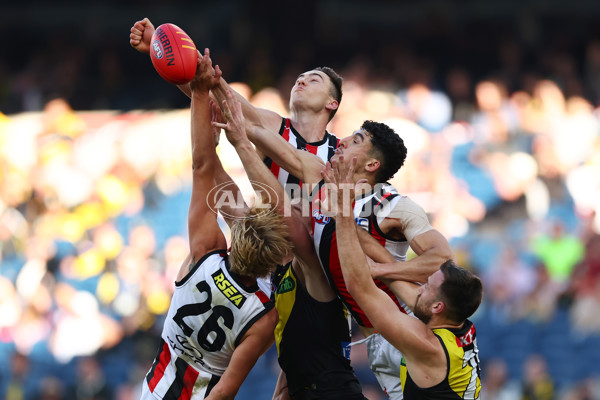 AFL 2025 Round 22 - Richmond v St Kilda - A-61201313