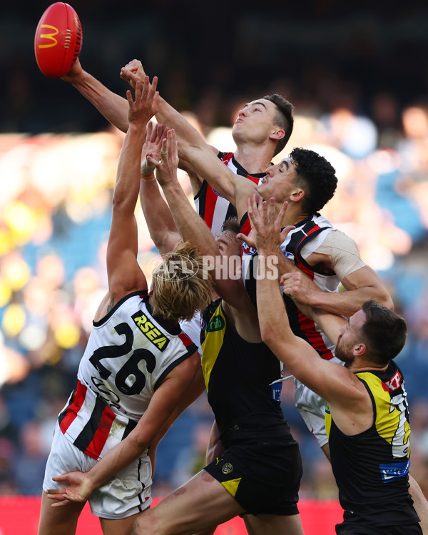 AFL 2025 Round 22 - Richmond v St Kilda - A-61201314
