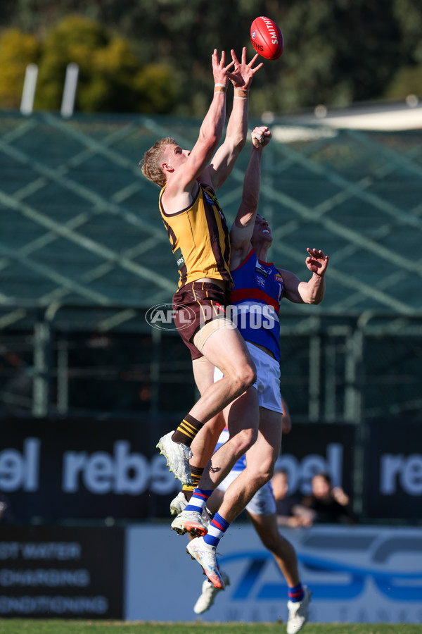 VFL 2025 Round 20 - Box Hill v Footscray - A-61201322