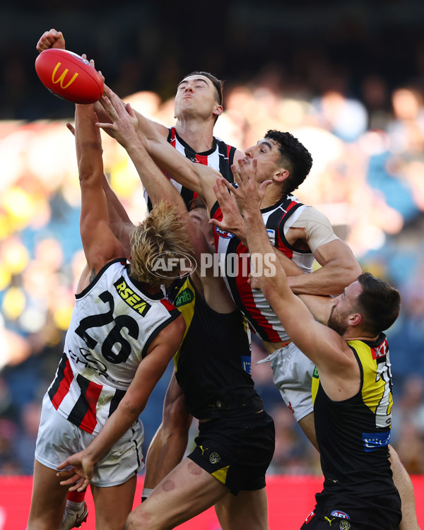 AFL 2025 Round 22 - Richmond v St Kilda - A-61201796