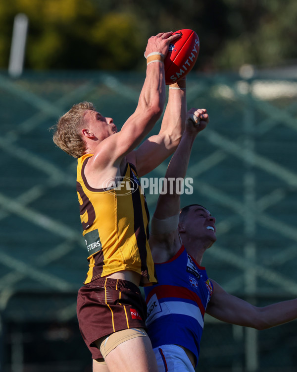 VFL 2025 Round 20 - Box Hill v Footscray - A-61201824