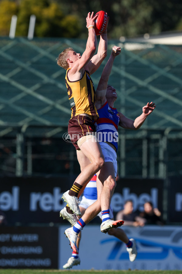 VFL 2025 Round 20 - Box Hill v Footscray - A-61201826